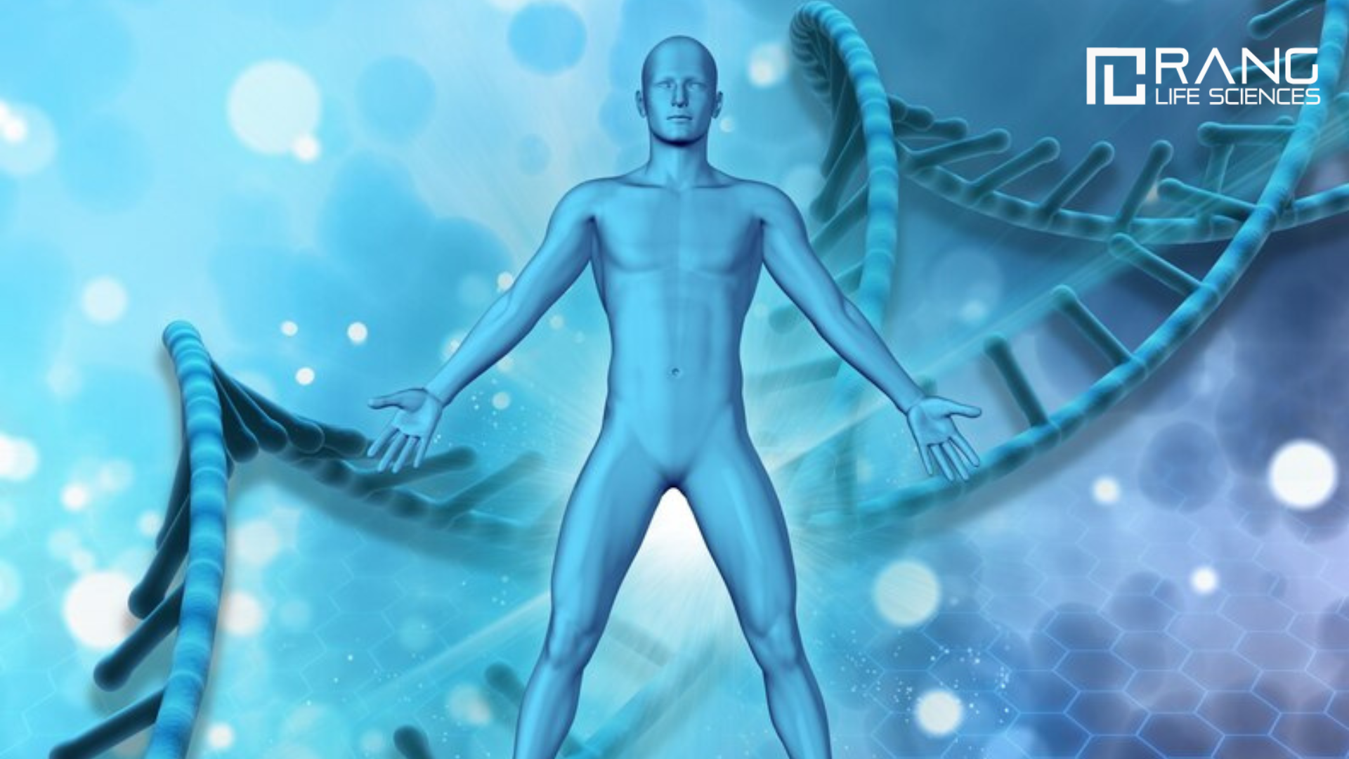 Self-Healing Biology: Can We Teach the Human Body to Regenerate Like a Salamander?